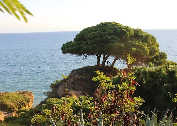 Alfagar Village מלון דירות אלבופיירה